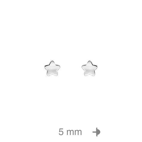 PENDIENTE PLATA ESTRELLA ROSCA