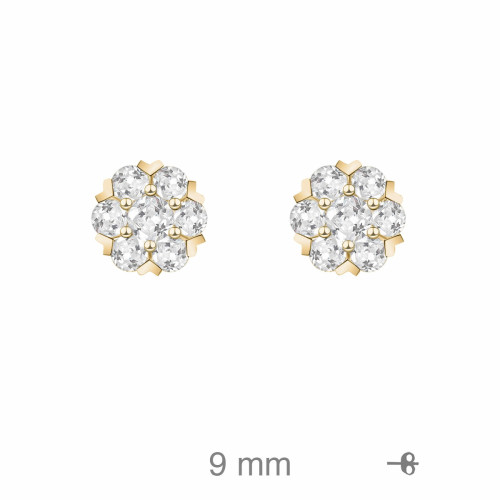 PENDIENTES PLATA B.ORO+e ROSETON ZTAS