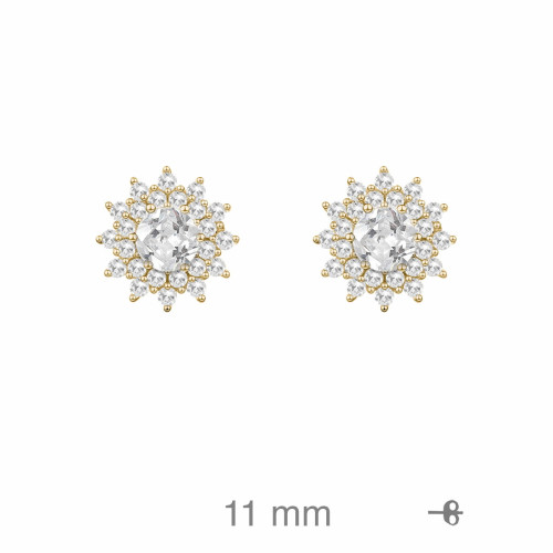 PENDIENTES PLATA B.ORO+e ROSETON ZTAS