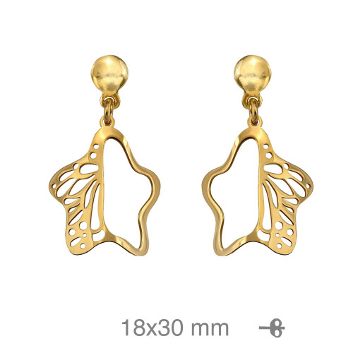 PENDIENTES PLATA B.ORO ESTRELLA CALADO
