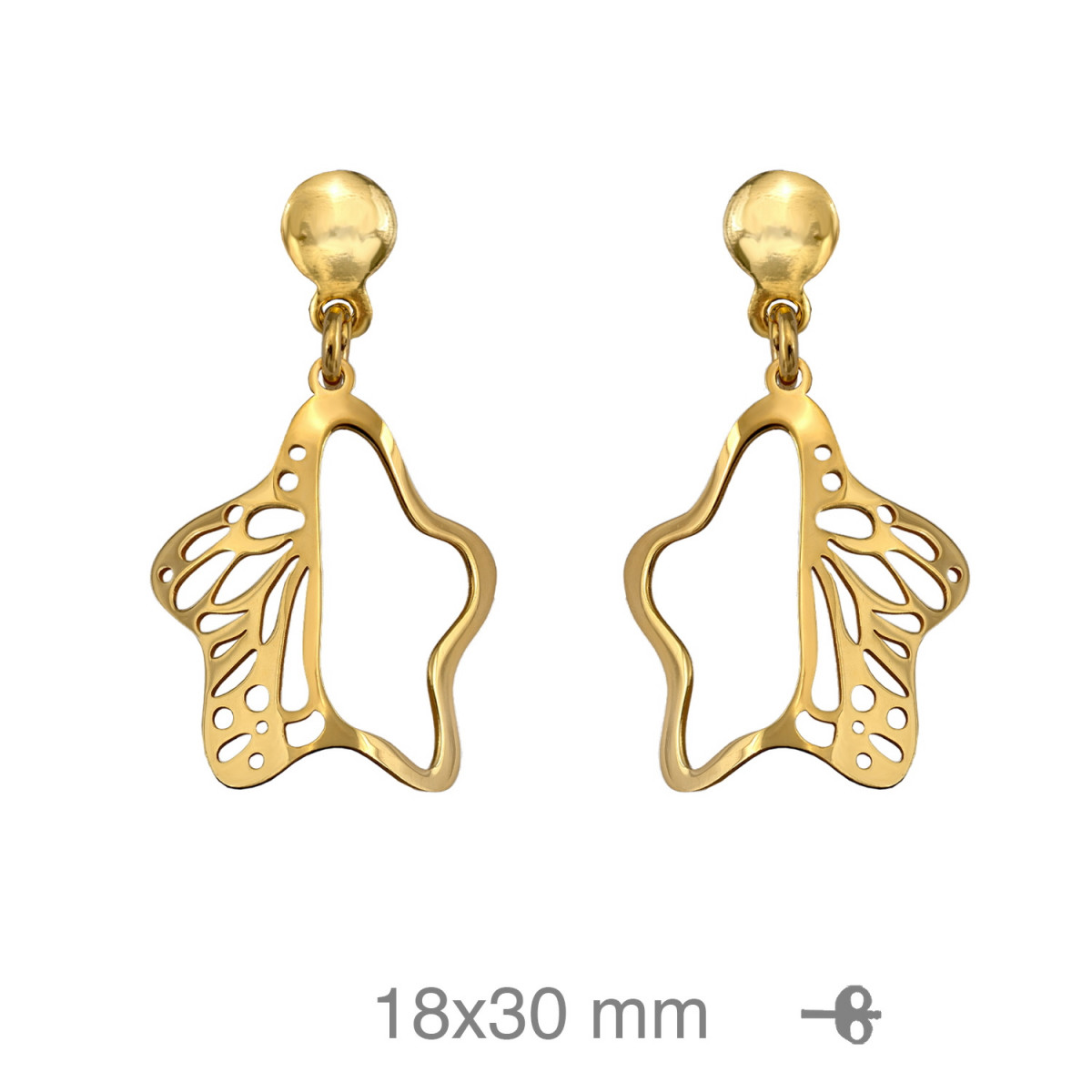PENDIENTES PLATA B.ORO ESTRELLA CALADO
